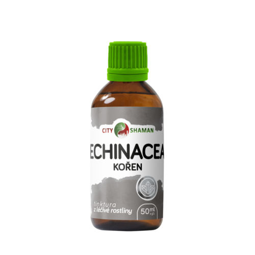 Echinacea